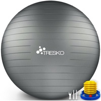 TRESKO Gymnastikball mit GRATIS Übungsposter inkl. Luftpumpe - 75cm, Pumpe, grau