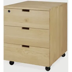 Ethnicraft Billy Office Box Eichenholz Lackiert - Braun