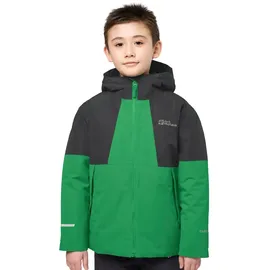 Jack Wolfskin Actamic Funktionsjacke Unisex Grün 116