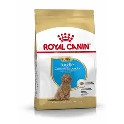 ROYAL CANIN Poodle Puppy 3kg