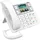 Fanvil X305 Big Button IP Phone