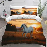 NYSMGS Kinderbettwäsche 135x200 Pferd Mädchen Jungen Kinder 3D Druck Tiere Sonnenuntergang Bettbezug Weich Mikrofaser Bettwäsche-Sets 2Teilig mit Reißverschluss und Kissenbezüge 80x80cm A572