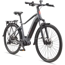 E-Bike SUV700 29 Zoll 10-Gang Pedelec City Elektrofahrrad Mittelmotor 720 Wh grau 29