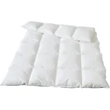 Traumina Plume Bio Daune Einziehdecke WK4