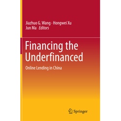 Financing The Underfinanced, Kartoniert (TB)