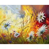 Weiße Blumen Malen nach Zahlen Erwachsene, Blumen auf dem Feld Malen nach Zahlen, Malen nach Zahlen de Pinsel und Acrylfarbe, 16X20 Inch Flammen Blumen Malen nach Zahlen Erwachsene Familie Freunde