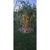 Weltbild 2 x Solar-Seil-Lichterkette aus Naturfasern mit 60 LEDs