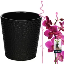KOTARBAU Blumentopf 11 x 11 x 58 cm Schwarz/Rosa