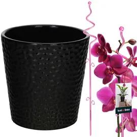 KOTARBAU Blumentopf 11 x 11 x 58 cm Schwarz/Rosa