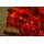 Buri Lichterkette LED 20er Set Rot