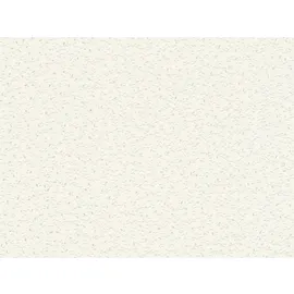 A.S. Création Blooming Vliestapete 10 m x 0,53 m 372651 Beige/Weiß/Silber