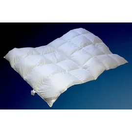 Betten Hofmann Hofmann Bayern Kassetten Daunendecke Daunenbett Bettdecke 4x6 155x220 cm 960 g - Weiß