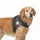 Nature Pet Schulterbandage 1 St Schwarz S
