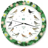 KOOKOO Funkwanduhr Singvögel (Funkquarzwerk) bunt