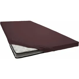 Primera Spannbettlaken Jersey-Elasthan 180 x 200 - 200 x 220 cm braun