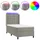vidaXL Boxspringbett 100 x 200 cm Hellgrau