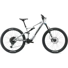 amflow PL Carbon - 29 Zoll 800Wh 12K Fully - Satinsilber - XL
