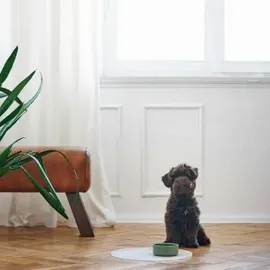 Hunter Keramik-Napf Osby weiß