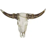 Gilde Casablanca - Wandobjekt "Büffel" - Poly - weiß-braun - Höhe 24cm - Breite 38cm - Wanddeko