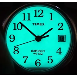 Timex Leder 38 mm TW2P75800