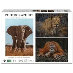 Ambassador Wildtiere Blick- kontakt 3x1000 Teile (Donal Boyd