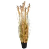 tinkaro Künstliche Zimmerpflanze Sorghumgras Künstliche Pflanze H:110 cm Natur, tinkaro, Höhe 110 cm beige