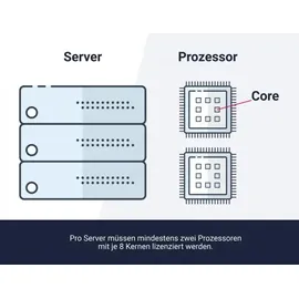 Microsoft Windows Server 2022 Standard ESD EN