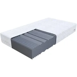 Fdm COMFORT MAX Plus 100 x 200 cm H4