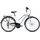 Pegasus Piazza 21 28 Zoll RH 55 cm metallic off-white