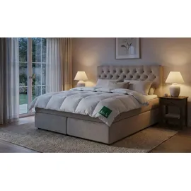 HANSKRUCHEN Jade 720 g, 135 x 200 cm