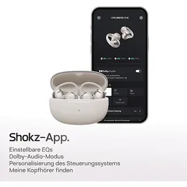 Shokz OpenDots One Grau