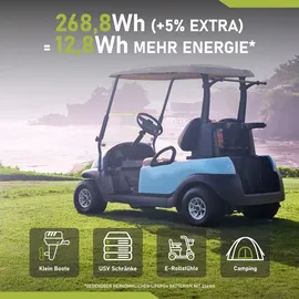 LANGZEIT Batterien Langzeit LiFePO4 20Ah 12V Lithium Batterie