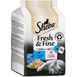 Sheba Fresh & Fine Thunfisch & Lachs in Gelee Fisch Variation 300g (6x 50g
