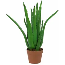 Europalms Aloe-Vera-Pflanze, Kunstpflanze, 63cm