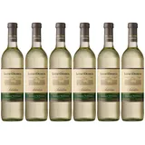 Weißwein Grüner Veltliner Selection spritzig trocken 6 x 0,75 l