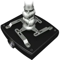 DataFlex Viewmate Style Beamer Mount 582 - Befestigungskit (Deckenmontage)