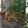Outsunny Frühbeet Holz, Mini Gewächshaus 100 x 65B x 40H cm-Braun