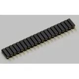 BKL Electronic Buchsenleiste (Präzision) Anzahl Reihen: 1 Polzahl je Reihe: 6 10120983