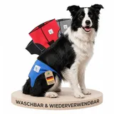 NATURE PET Premium Läufigkeitshose für Hündinnen – Hochwertige & Bequeme Hundewindeln für Hündinnen & Rüden – Waschbare Inkontinenz-Hundewindel ohne Einfädeln der Rute – M/Blau