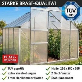 Brast Gewächshaus Aluminium Silber 6 mm 6,25 m2
