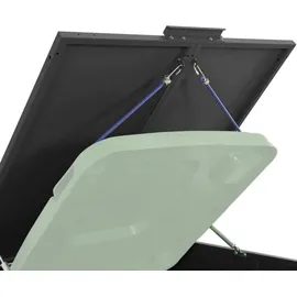 deluke Mülltonnenbox GORILO 207 x 79 x 117 cm schwarz