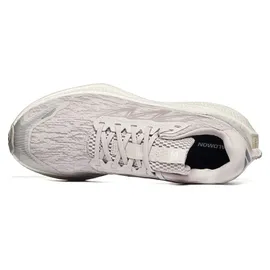 Salomon Aero Glide 4 Herren Silver Cloud/Silver Cloud 43 1/3