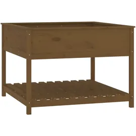 vidaXL Pflanzkübel mit Ablage 111,5 x 111 x 81 cm Honigbraun