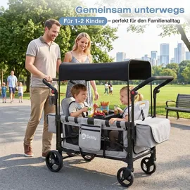 Sekey Bollerwagen grau