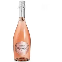SCAVI und RAY Prosecco DOC Rose italienischer Schaumwein 750ml
