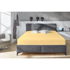 Primera Spannbettlaken Elasthan-Jersey 90-100 x 200-220 cm orange