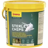 Sera Stör Chips XXL Nature 3,8 Ltr. (1,7 kg) - Das natürliche Hauptfutter für größere Störe