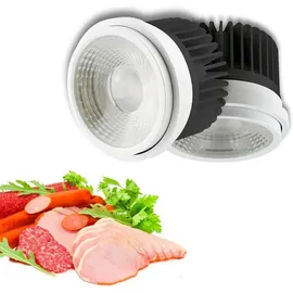 ISOLED AR111 Fresh Meat Light 30W, 35°-50° variabel, inkl. externem VG
