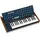 Behringer Monopoly Synthesizer Schwarz