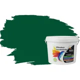 RyFo Colors Silikonharz Fassadenfarbe Lotuseffekt Trend Grüntöne Wacholdergrün 3l - bunte Fassadenfarbe, weitere Grün Farbtöne und Größen erhältlich, Deckkraft Klasse 1